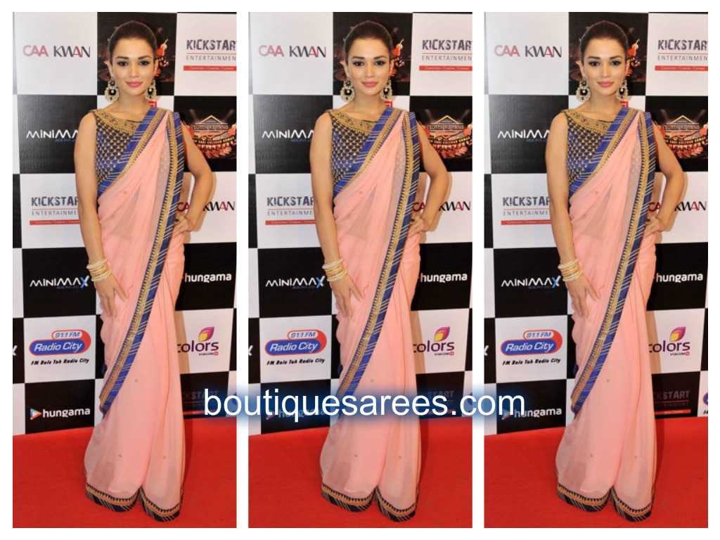 amy in net saree